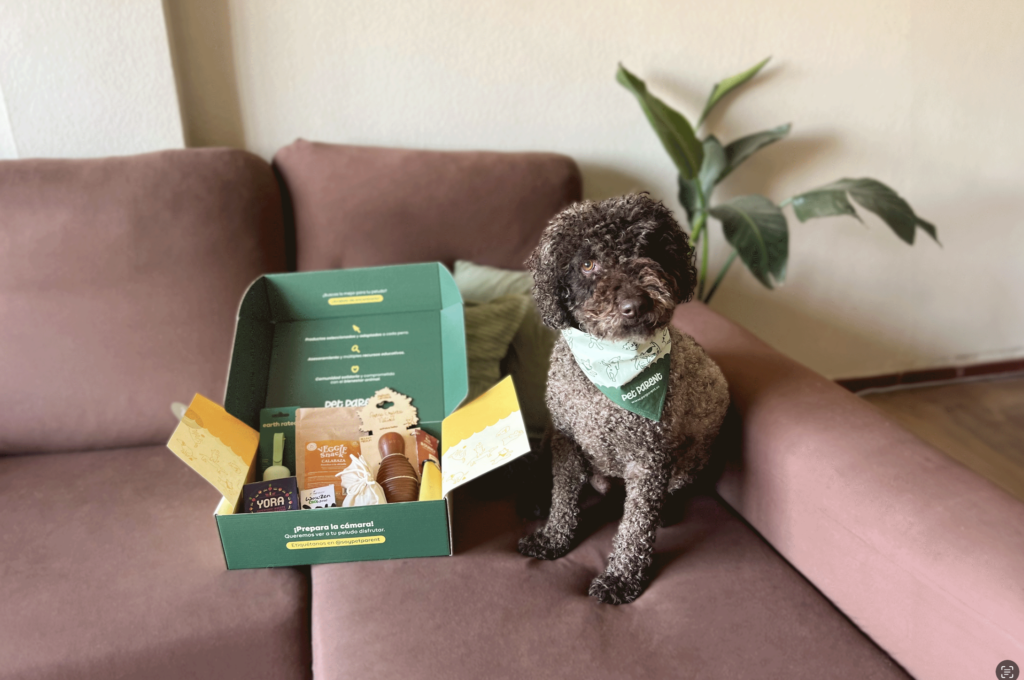 Perro con caja pet parent